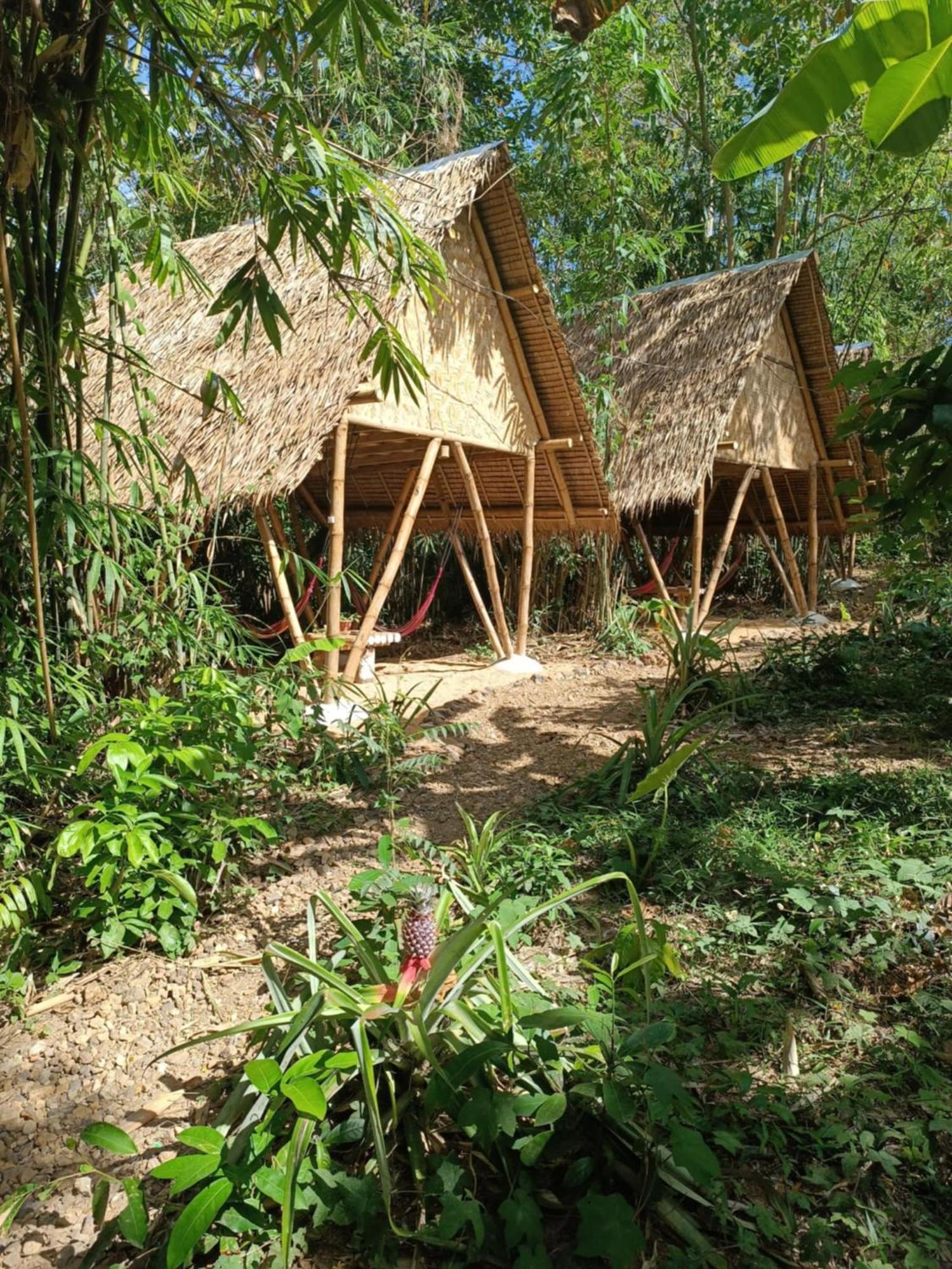Ecocio Jungle Hostel Корон Екстер'єр фото